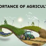 Importance of Agriculture