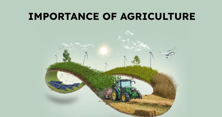 Importance of Agriculture